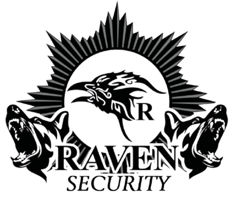 ravensecurity.co.za